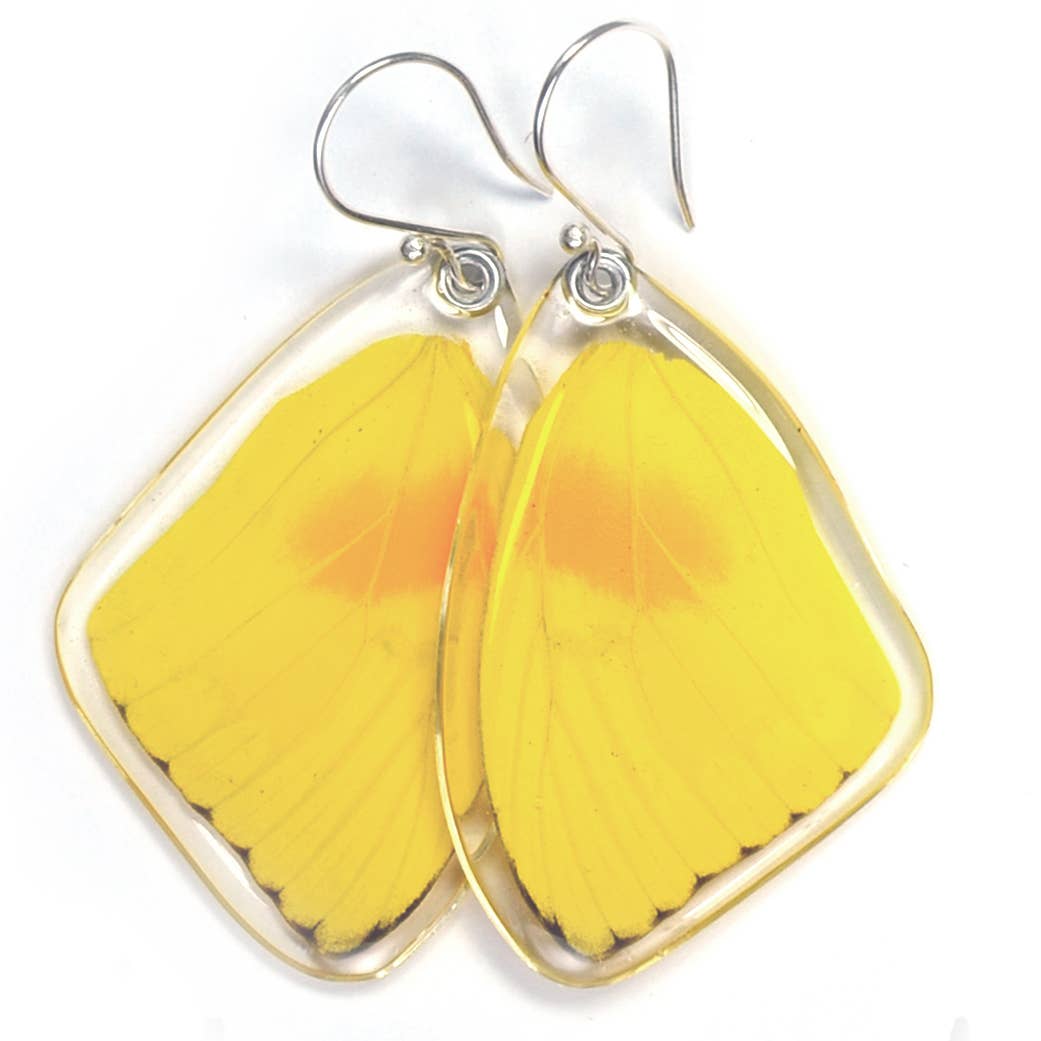 0070 Butterfly Earrings, Orange-barred Sulphur, top