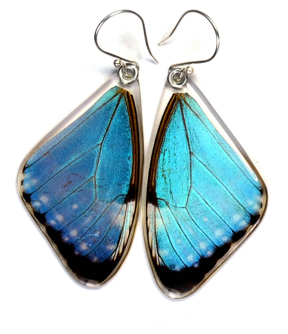0115 Butterfly earrings, Blue Morpho Portis, top wings
