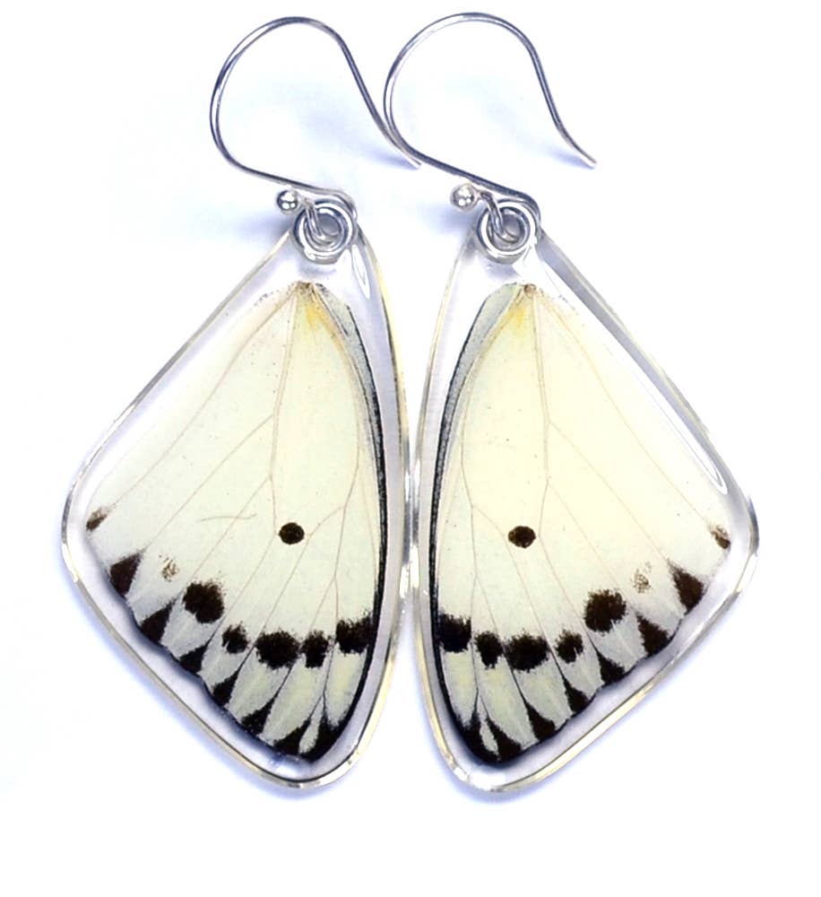 0250 Butterfly Earrings, Calypso Caper White, top wings