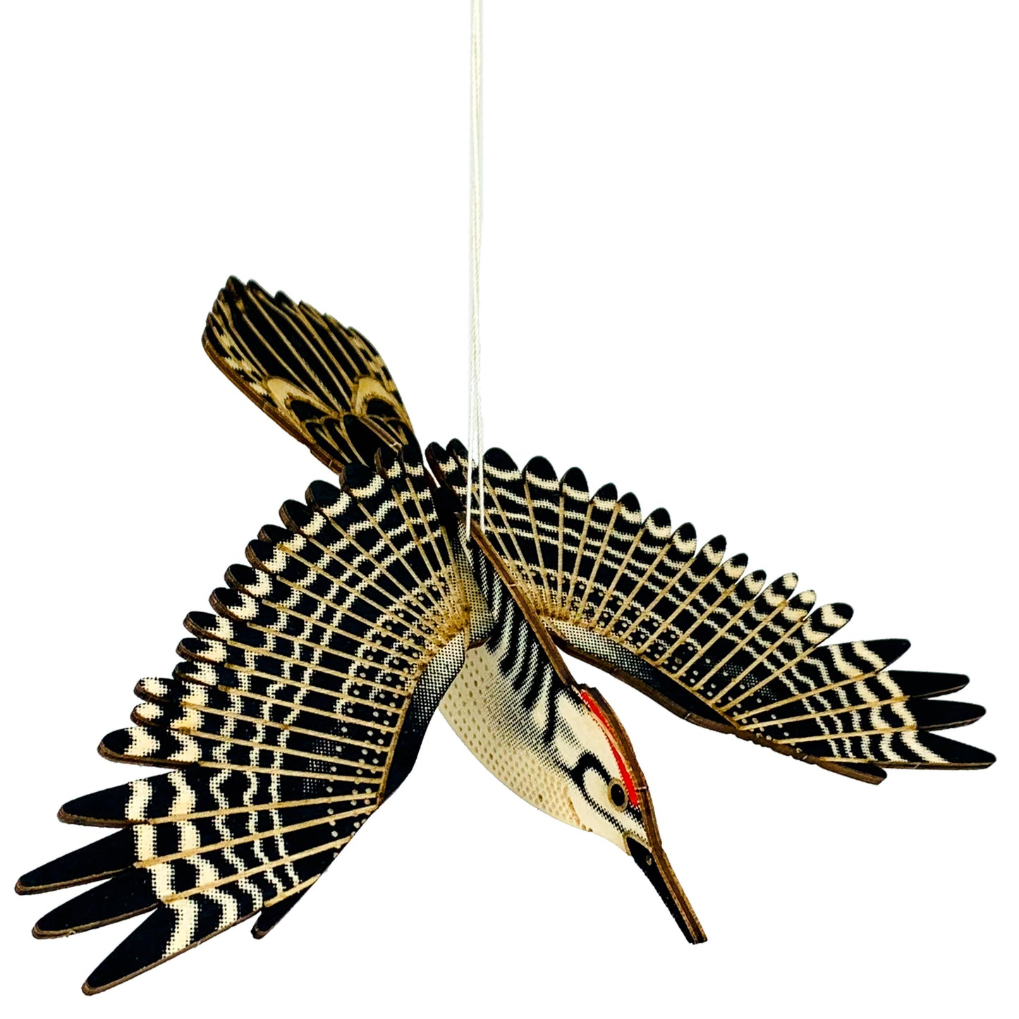 BIRDS : WOODPECKER