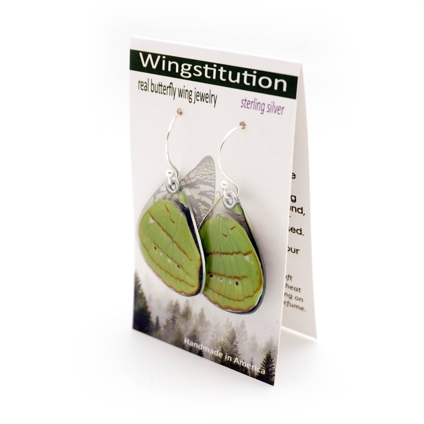 0593 Butterfly Earrings, Hewitson's Olivewing, Bottom Wings