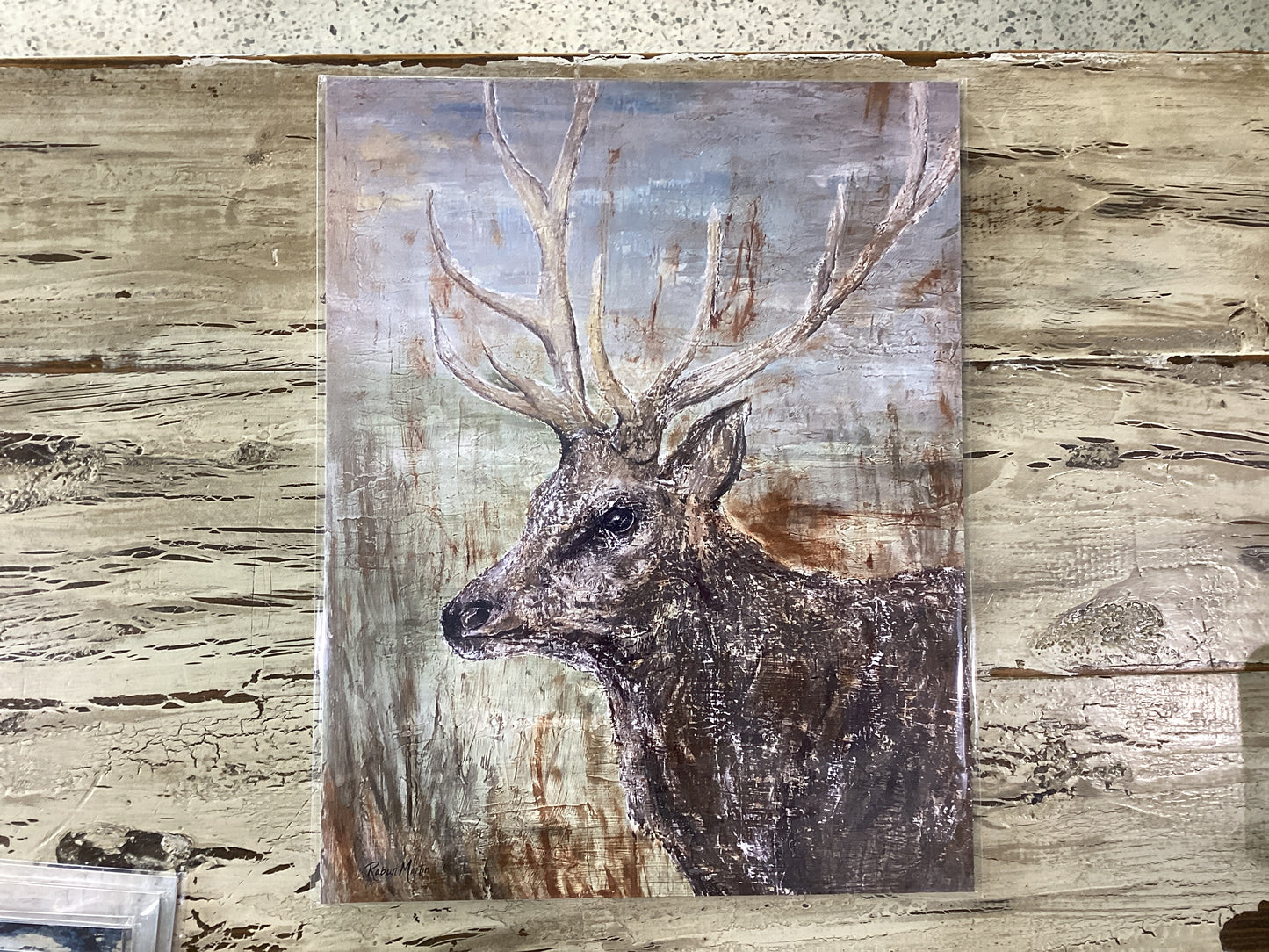 11x14 Buck