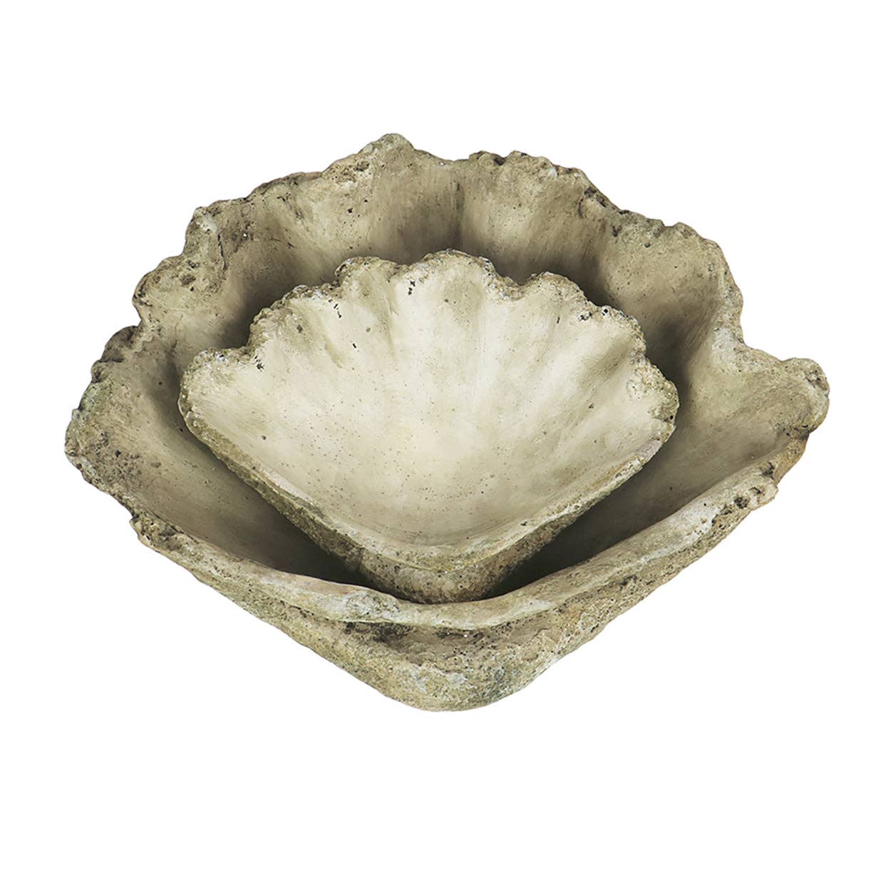 Cast Concrete Clam Shell: Small