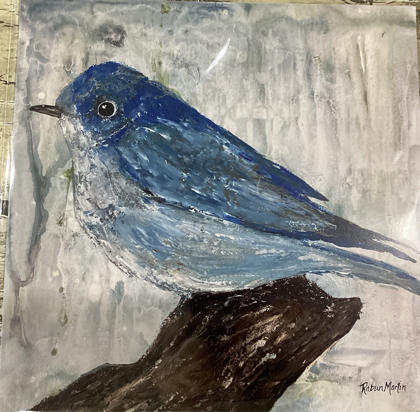 12x12 Eastern Blue Bird