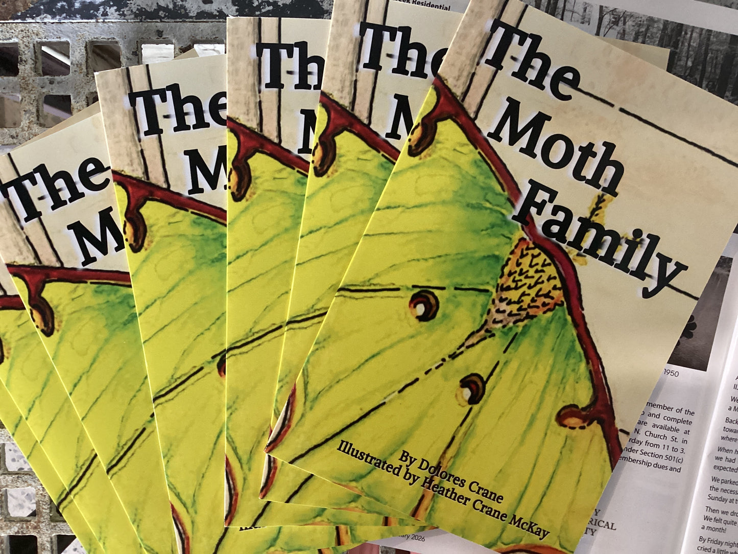 The Moth Family