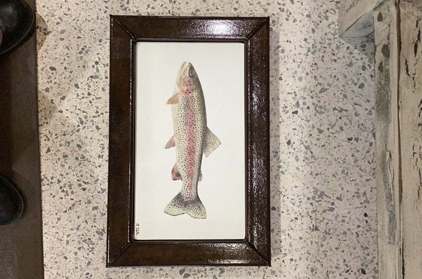 Rainbow Trout with handmade frame
