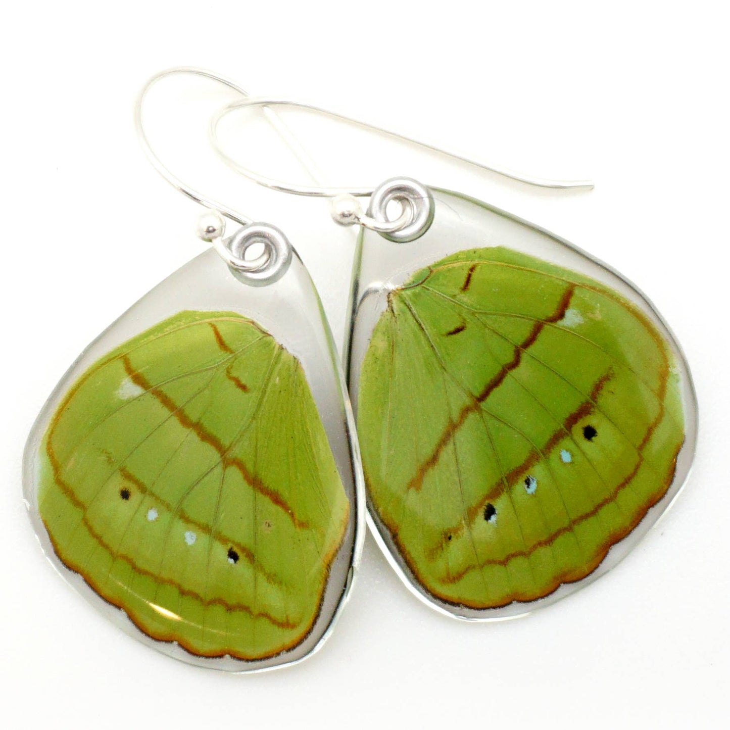 0593 Butterfly Earrings, Hewitson's Olivewing, Bottom Wings