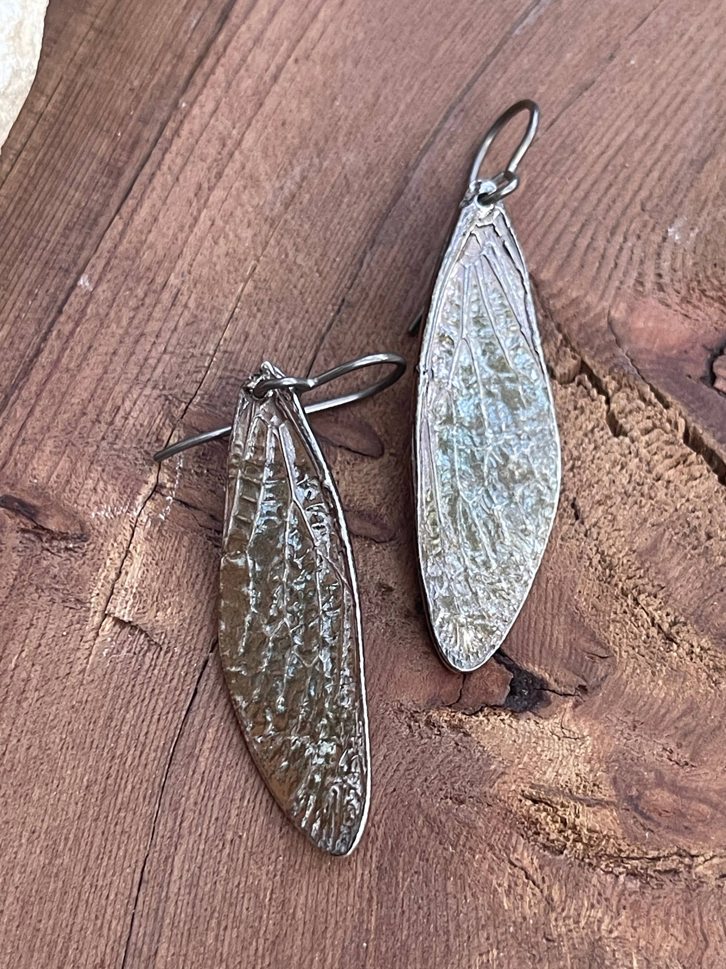 Cicada Wing Earrings (Silver, Bronze, or Copper): Bronze