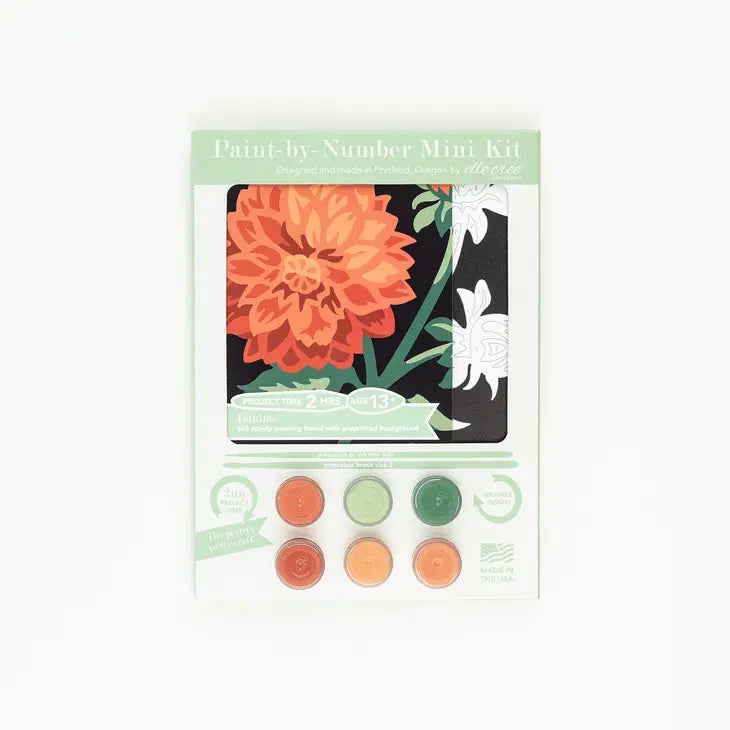 Mini Paint By Number Kit