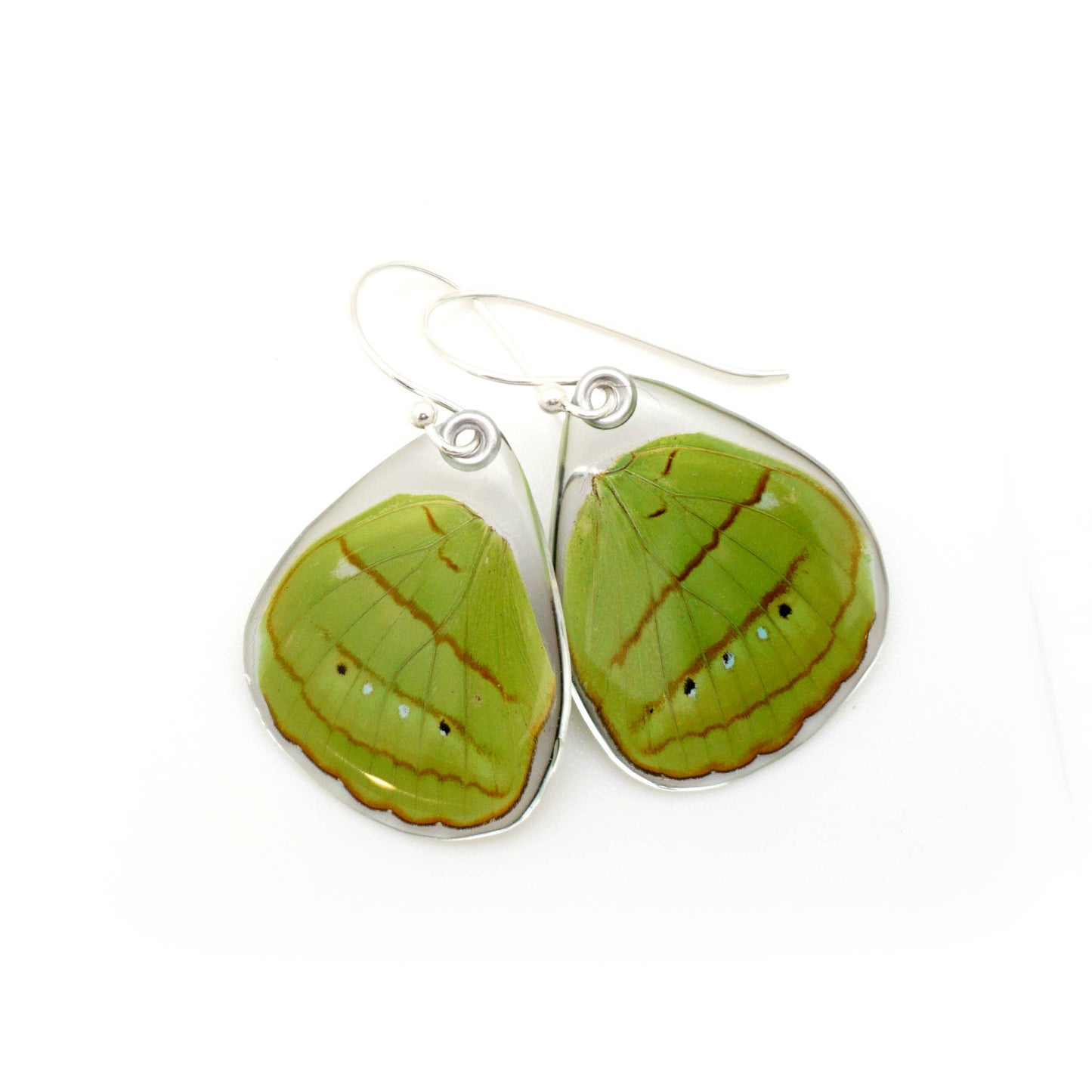 0593 Butterfly Earrings, Hewitson's Olivewing, Bottom Wings