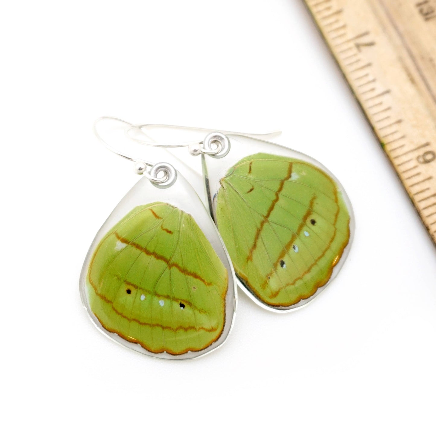 0593 Butterfly Earrings, Hewitson's Olivewing, Bottom Wings