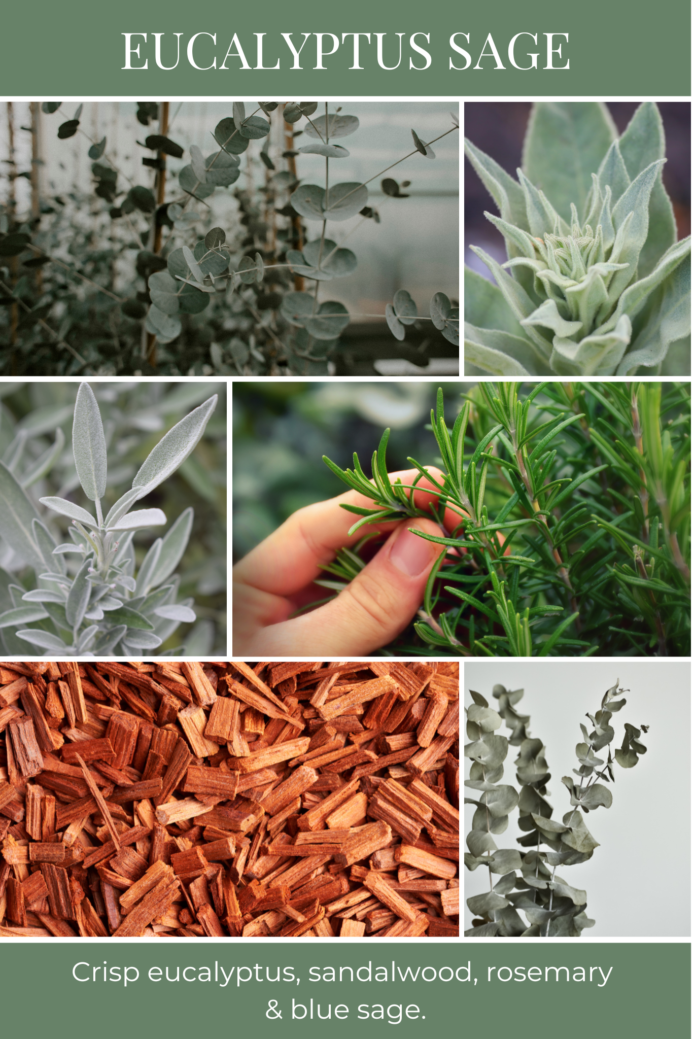 8oz mason EUCALYPTUS SAGE