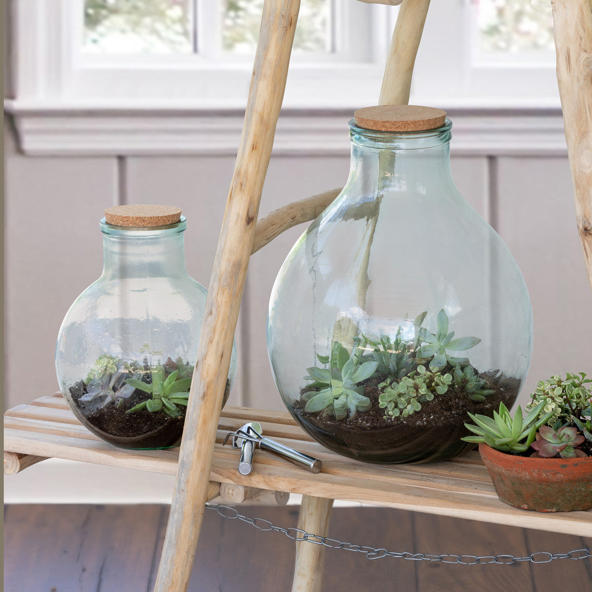 Glass Terrarium