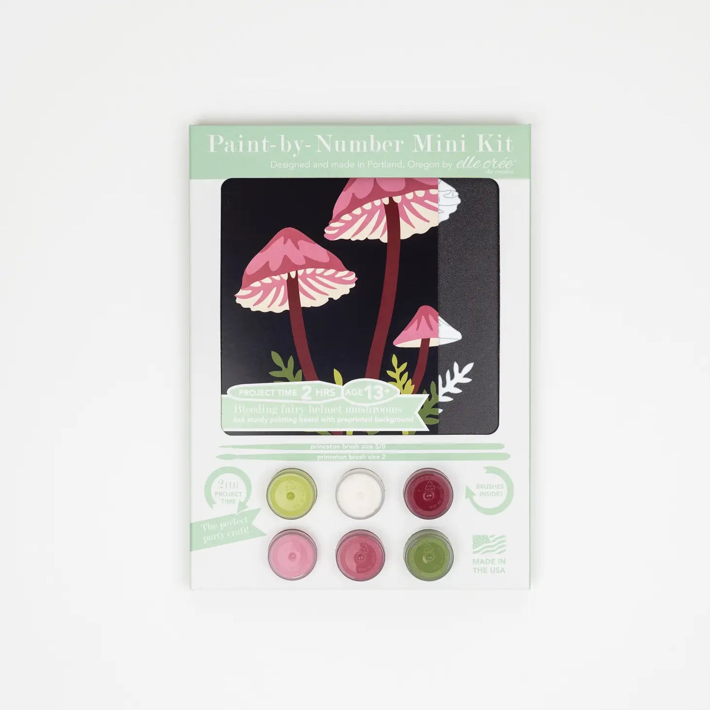 Mini Paint By Number Kit