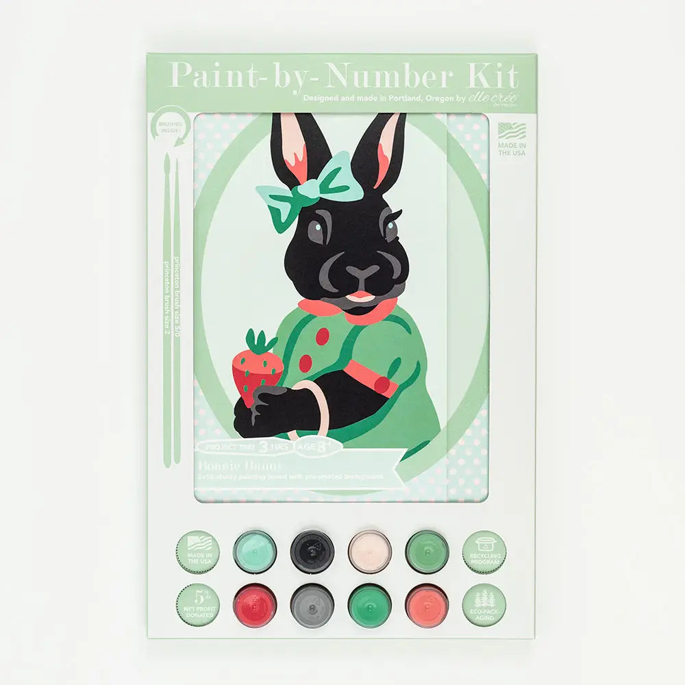Paint By Number Kit