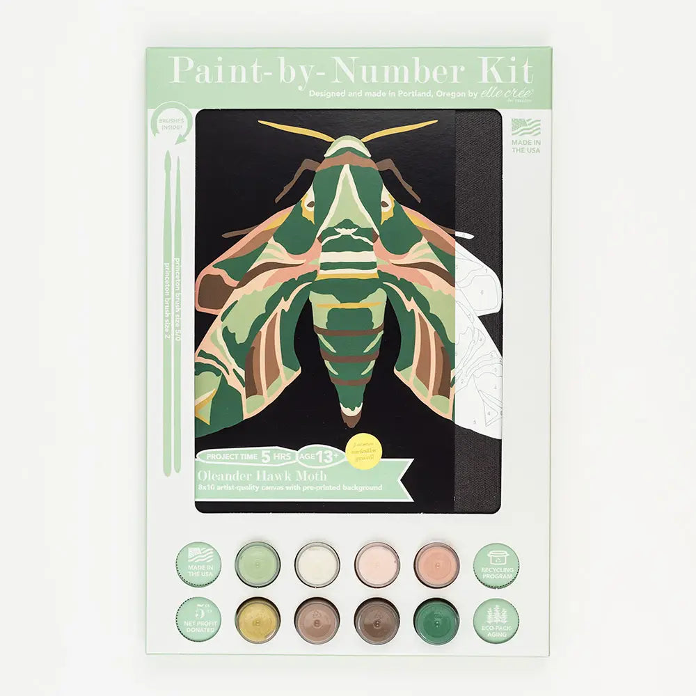 Paint By Number Kit