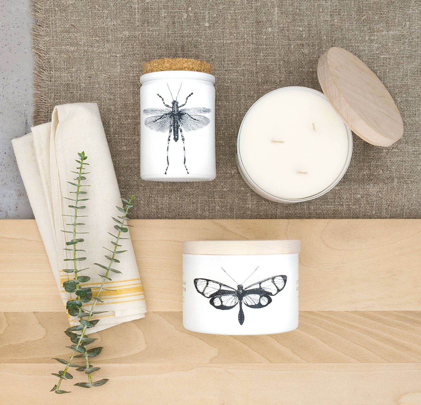 Citronella 3-Wick Candle, Eucalyptus