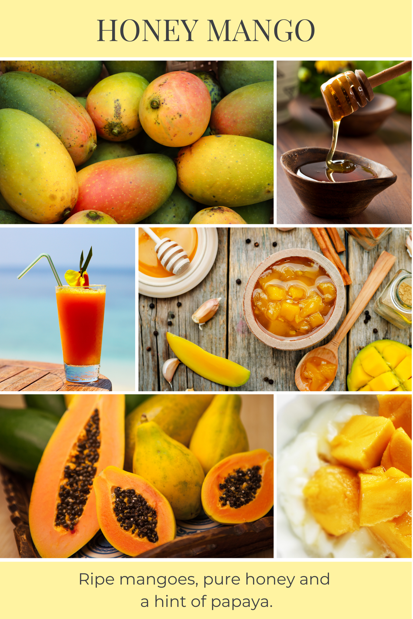 8oz mason HONEY MANGO