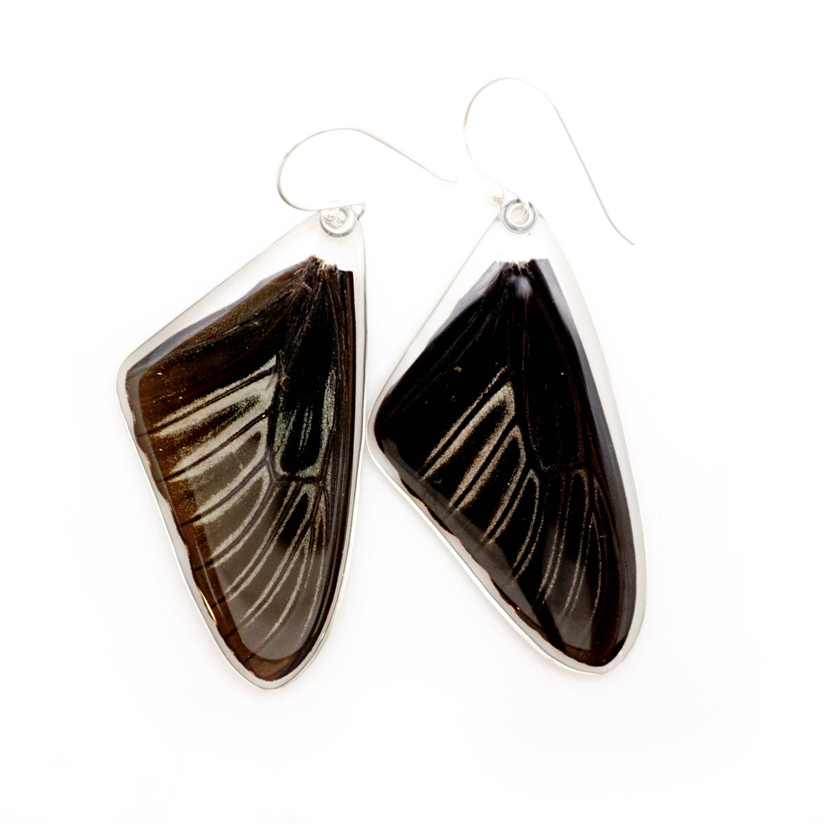 0625 Butterfly Earrings, Golden Birdwing, Top Wings