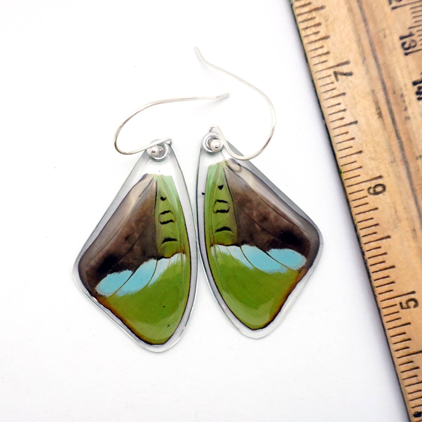0593 Butterfly Earrings,  Hewitson's Olivewing, Top Wings
