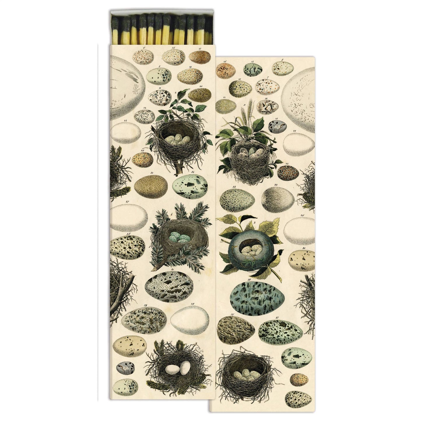 Matches - Nest & Eggs