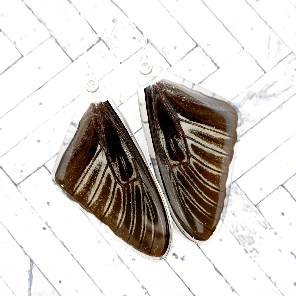 0625 Butterfly Earrings, Golden Birdwing, Top Wings