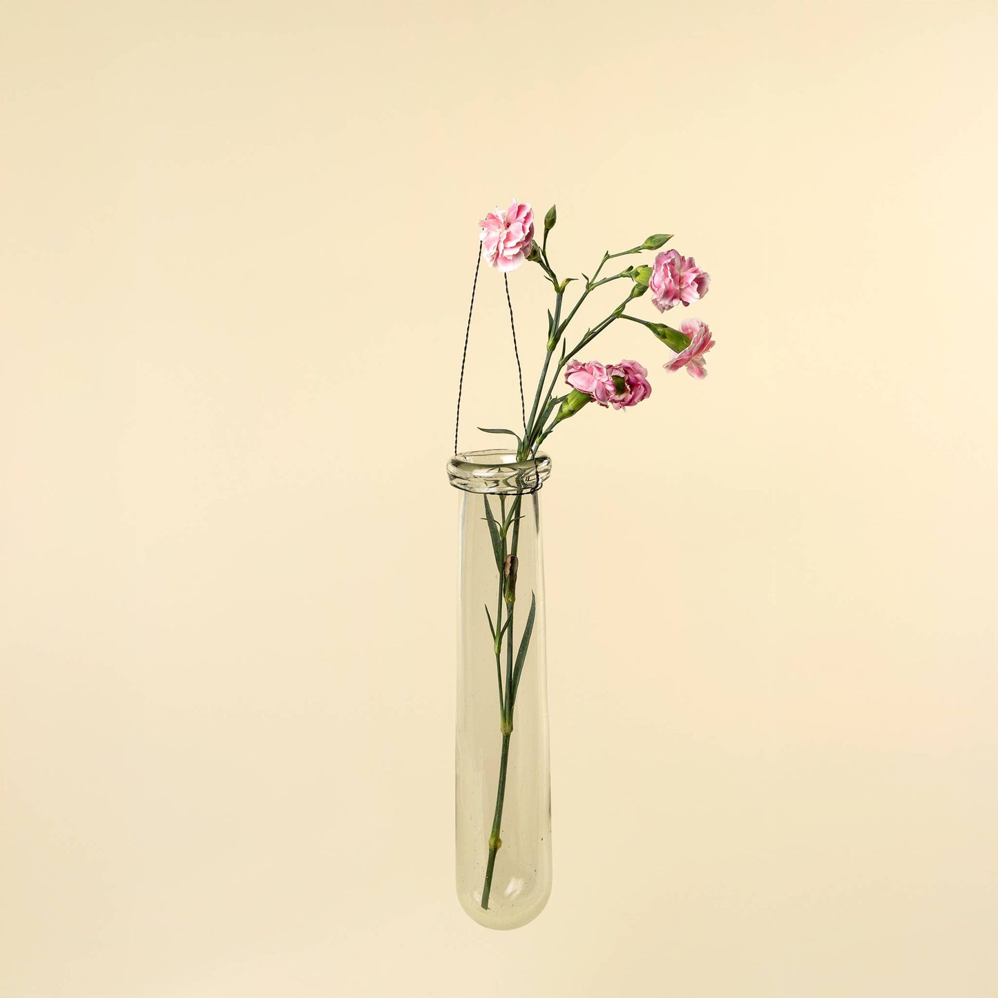 Hanging Tube Vase M