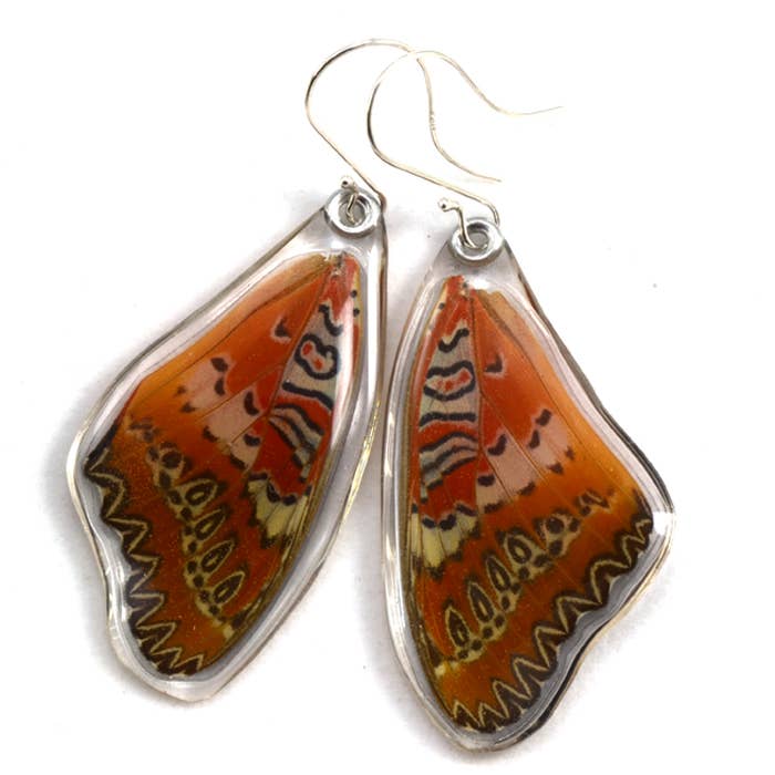 0060 Butterfly Earrings, Cethosia Biblis Biblis, top wings