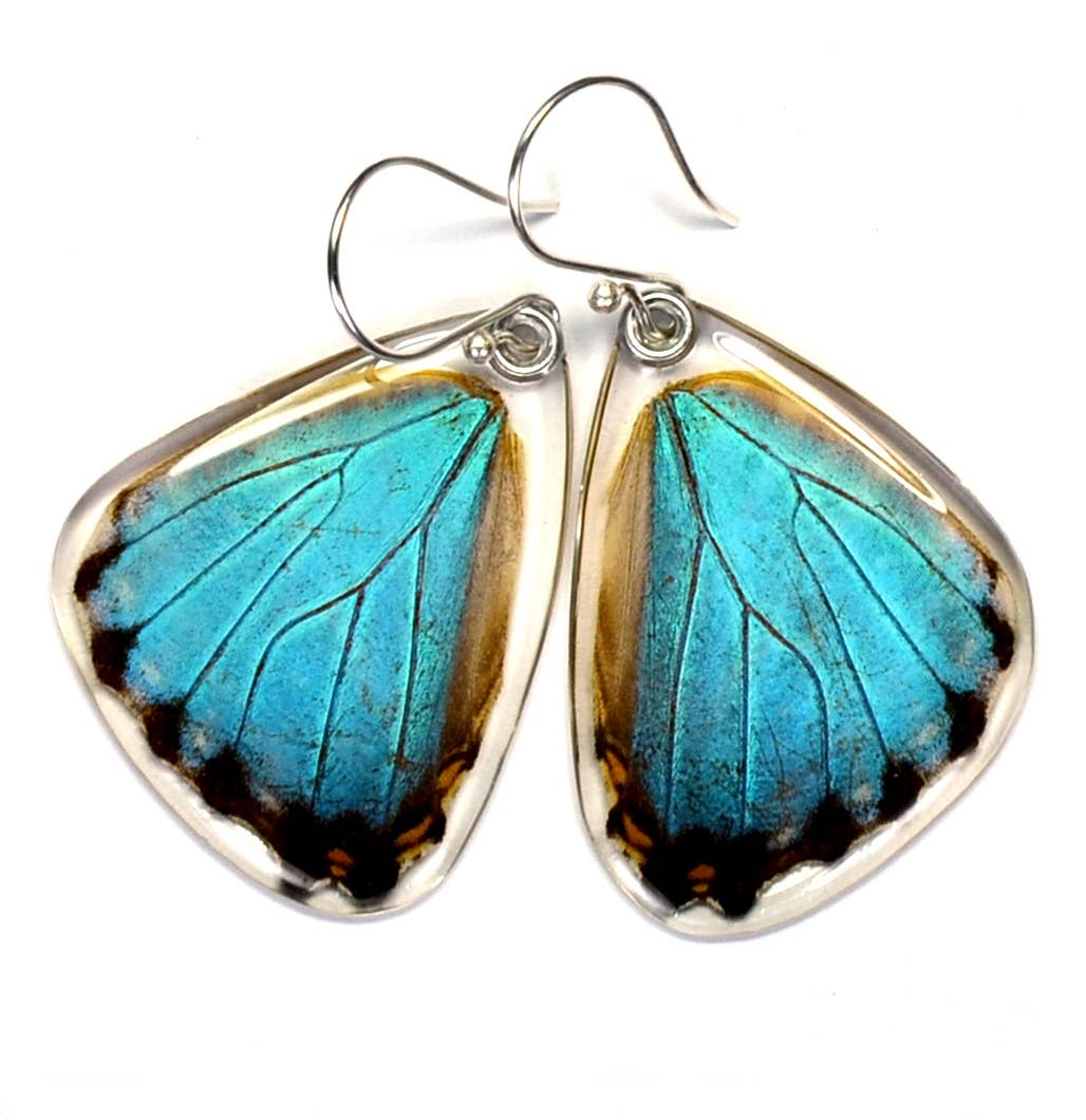 0115 Butterfly earrings, Blue Morpho Portis, bottom wings