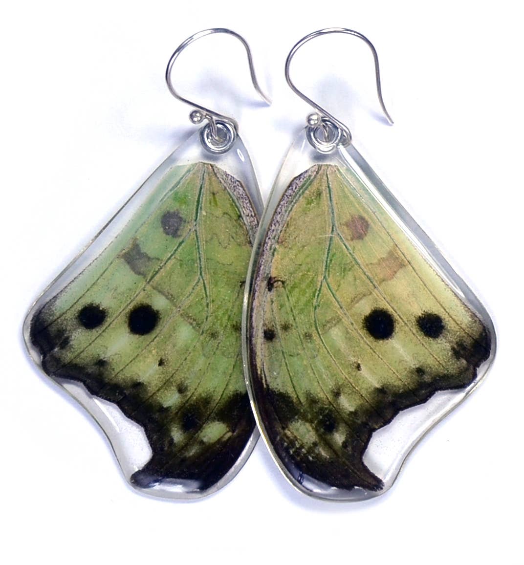 0165 Butterfly Earrings, Salamis Parhasus, top wings