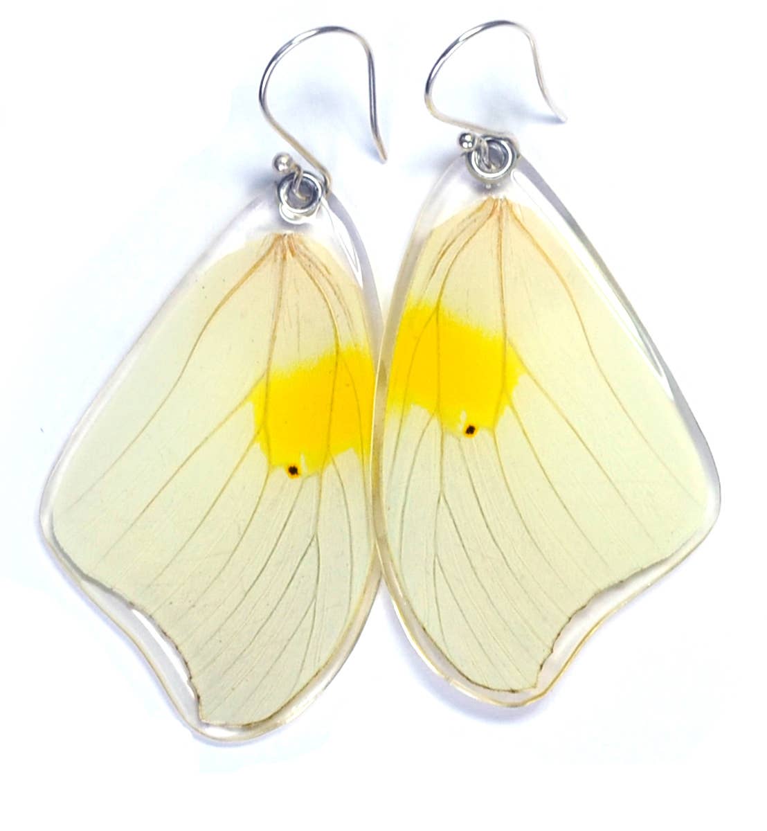 0325 Butterfly Earrings, White Angled Sulphur, Top Wing