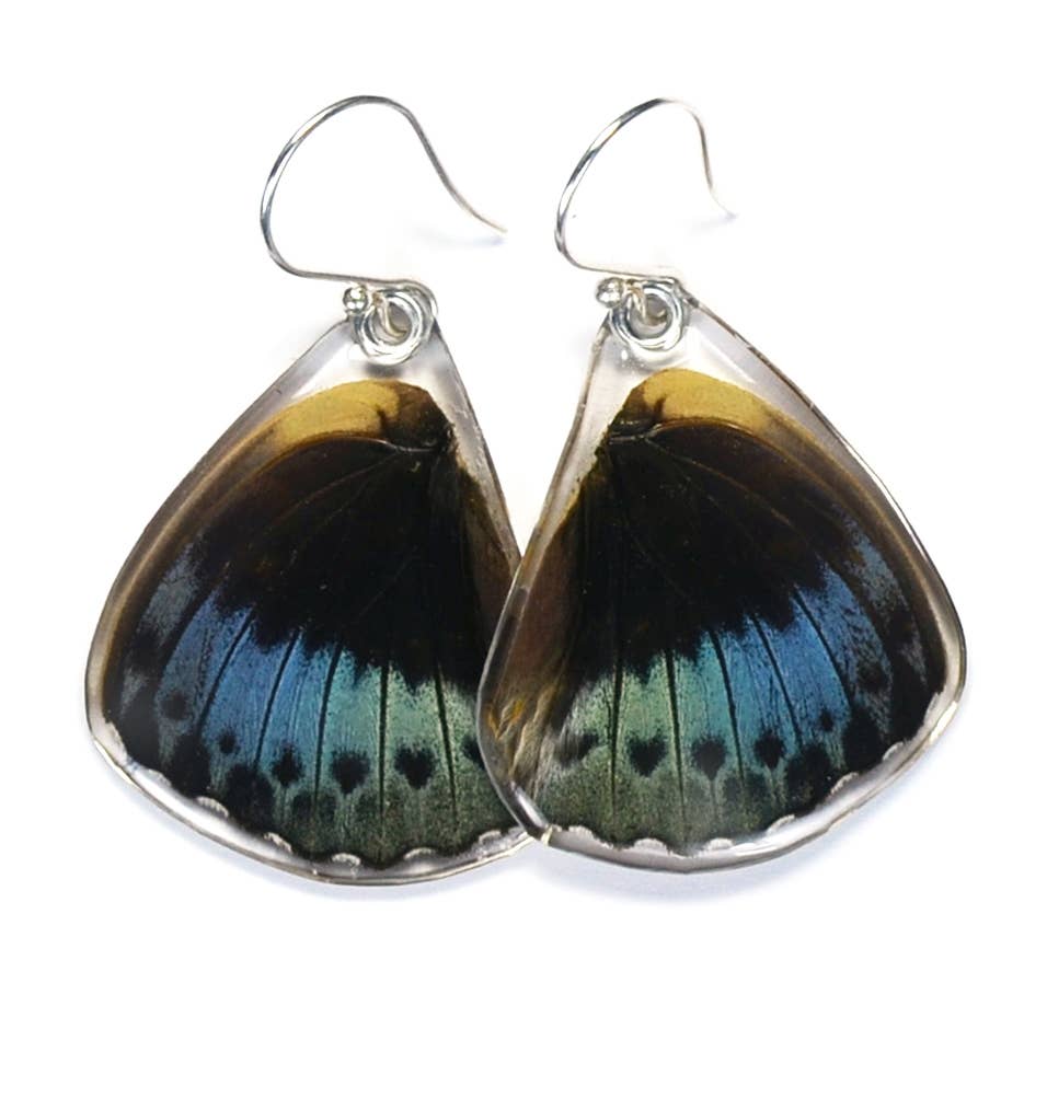 0455 Butterfly Earrings, Archduke Butterfly, Bottom Wing