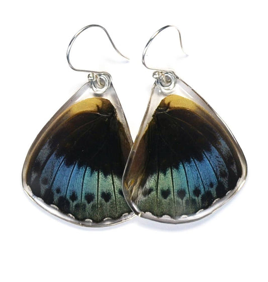 0455 Butterfly Earrings, Archduke Butterfly, Bottom Wing