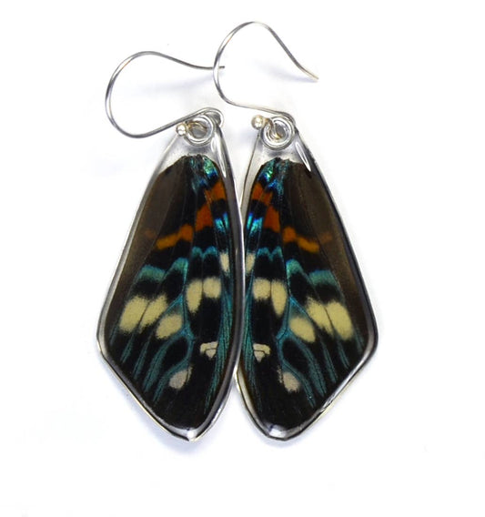 0460 Butterfly Earrings, Day Flying Moth, Top Wing