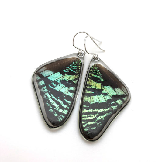 0055 Sunset Moth Earrings, Top Wing: Regular