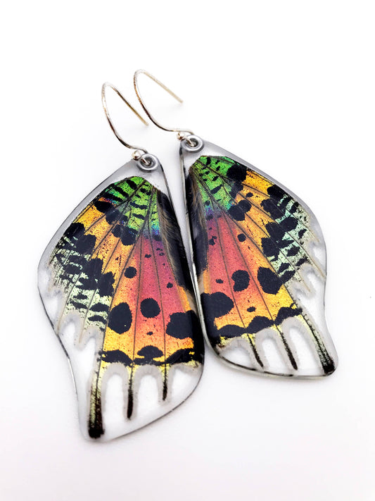 0055 Sunset Moth Earrings, Bottom wing: Regular