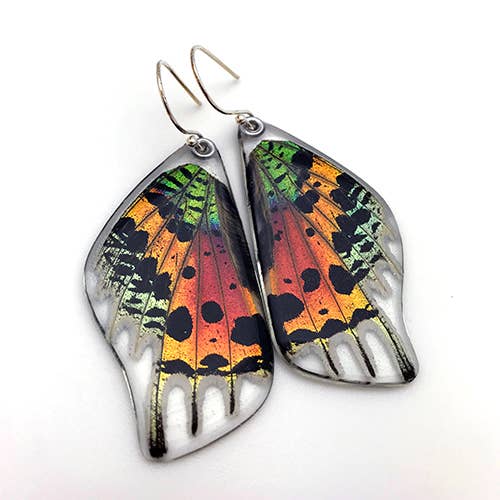 0055 Sunset Moth Earrings, Bottom wing: Regular