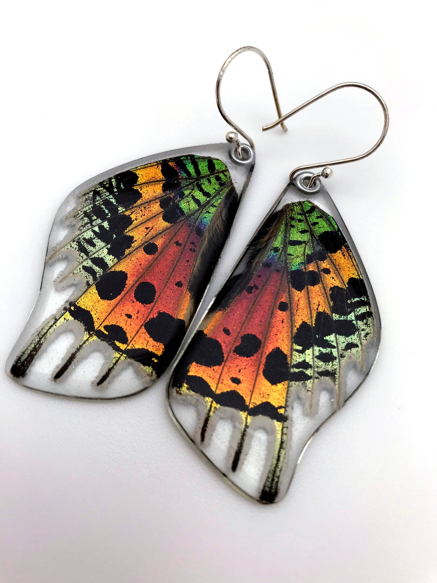 0055 Sunset Moth Earrings, Bottom wing: Regular