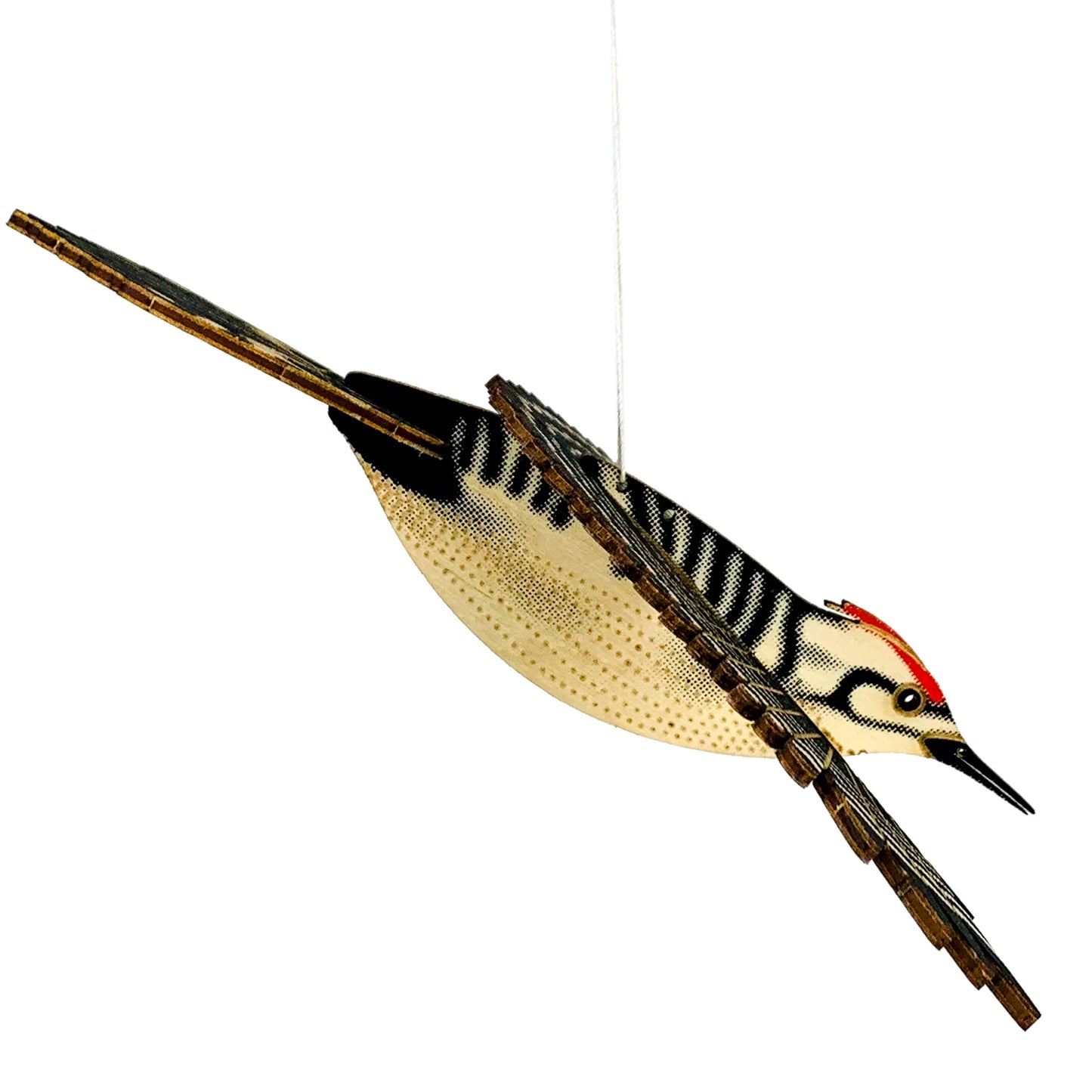 BIRDS : WOODPECKER