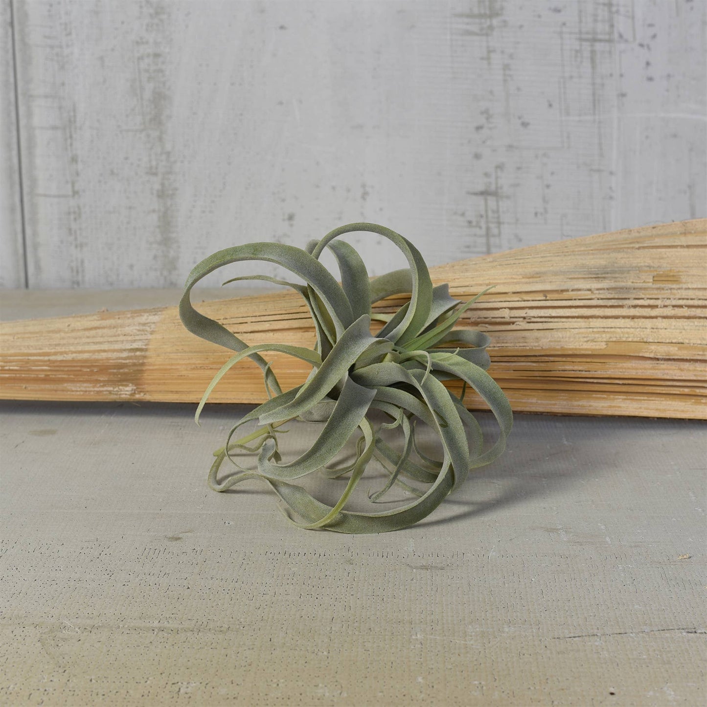 Faux Tillandsia - Lrg