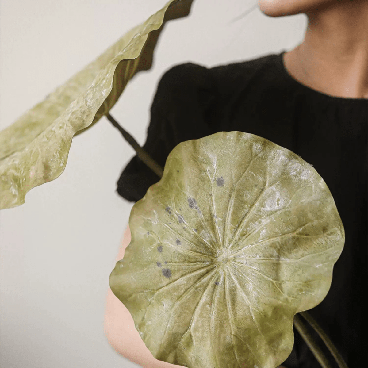 Artificial Rustic Lotus Stem: One Stem / Large