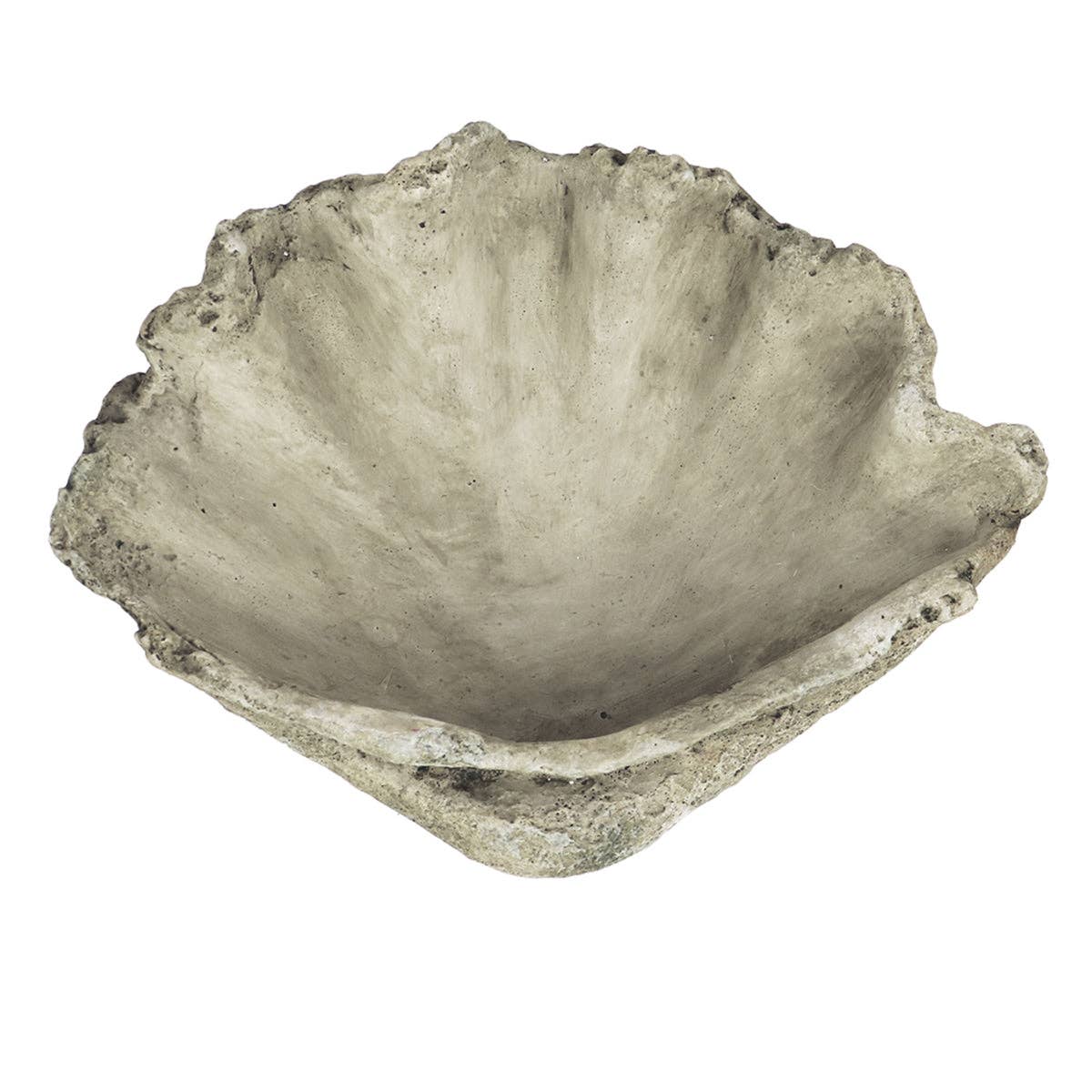 Cast Concrete Clam Shell: Small