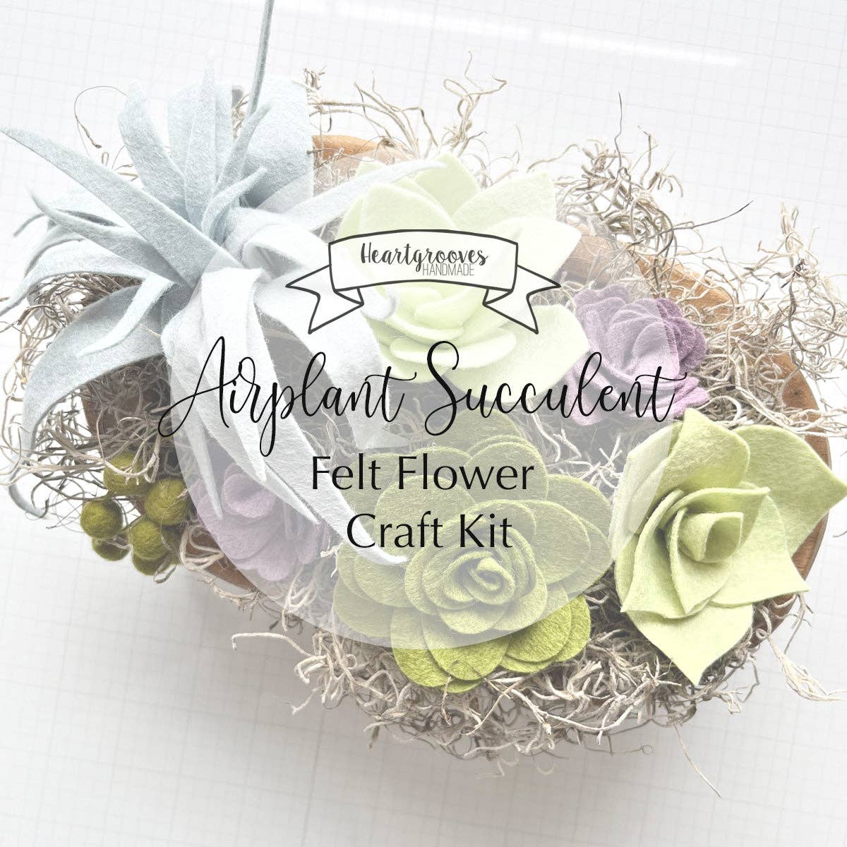 Felt Air Plant Succulent Craft Kit