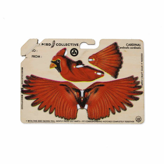 BIRDS SMALL : CARDINAL