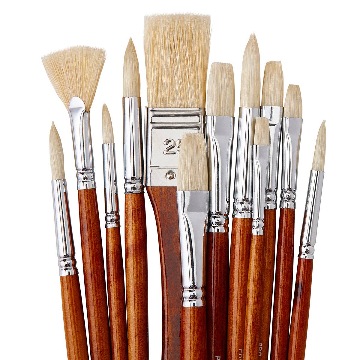 PRO Natural Bristle Brush Set - Long Handle - 12 Pieces