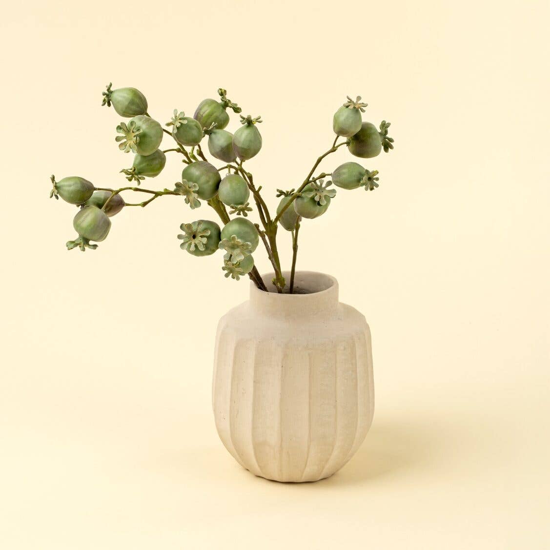 Poppy Pod Branch