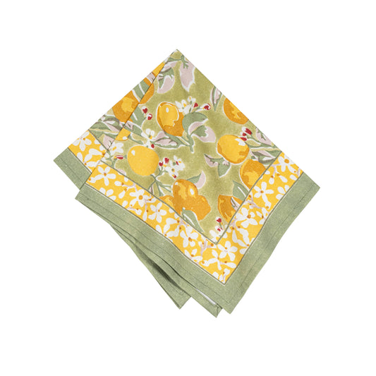 Citron Vert & Yellow Napkins 19x19 - Set of 6
