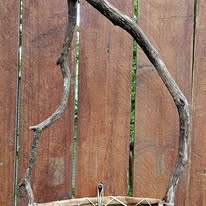 Studio Class | Bark Basketry with Andrew Lee