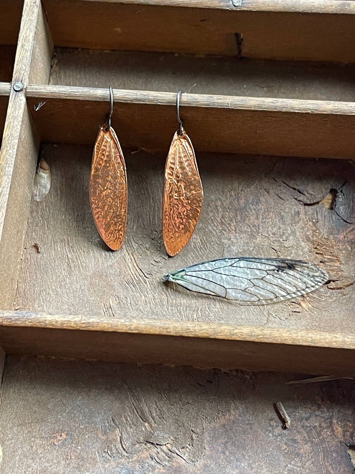 Cicada Wing Earrings (Silver, Bronze, or Copper): Bronze