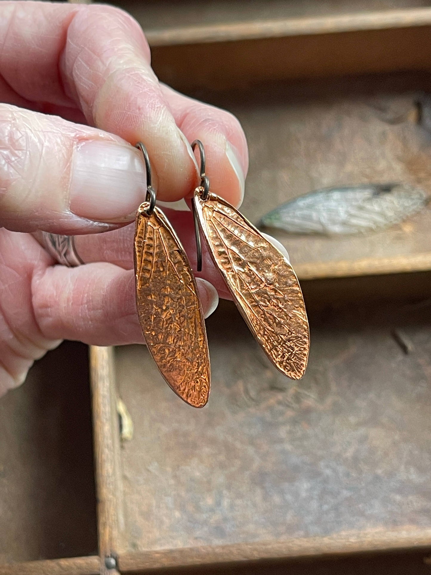 Cicada Wing Earrings (Silver, Bronze, or Copper): Bronze